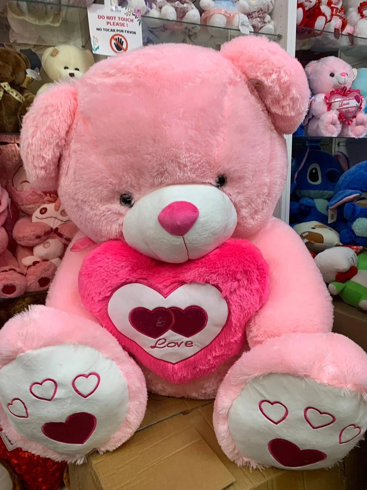 Teddy Bear Big