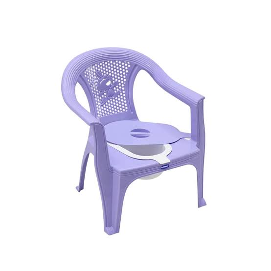 Potty Chair